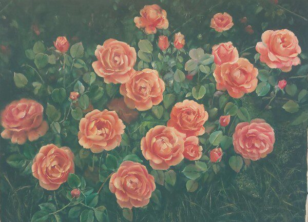 Flower 4